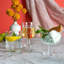 Drinking Glass Set