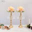 Toiles de fond et enseignes-97872267-97872269
