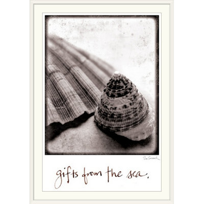 " Gifts From The Sea " by Sue Schlabach