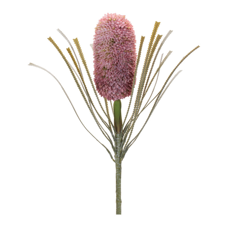Protea Floral Stem, Red