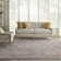 Oriental Indoor Rug