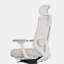 Ergonomic Chair Pro-2140169272-2140169276