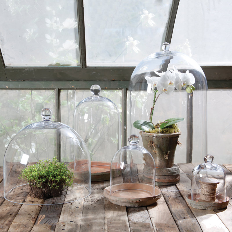 Baines Glass Dome, 13" H x 7" W x 7" D