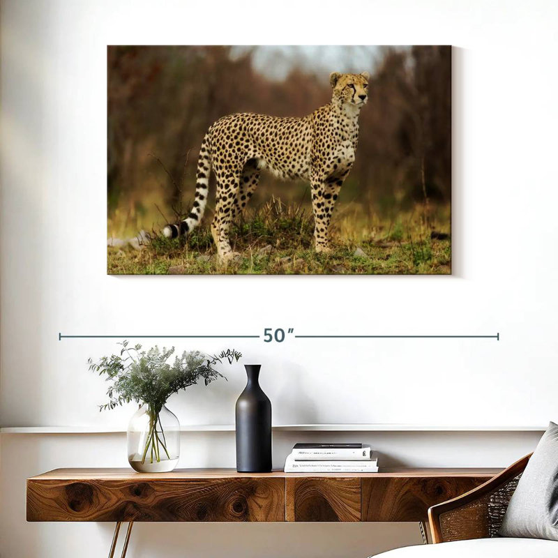 Guépard regardant sa proie, H 26 po x l 39 po