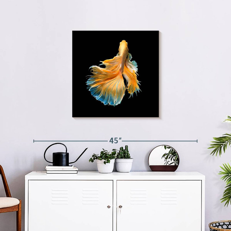 Brami poisson de chasse jaune grandiose, H 24 po x l 24 po