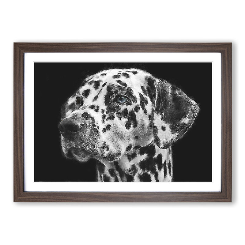 Dalmatian Dog - Picture Frame Painting, Walnut Framed, 27cm H x 36cm W x 2cm D