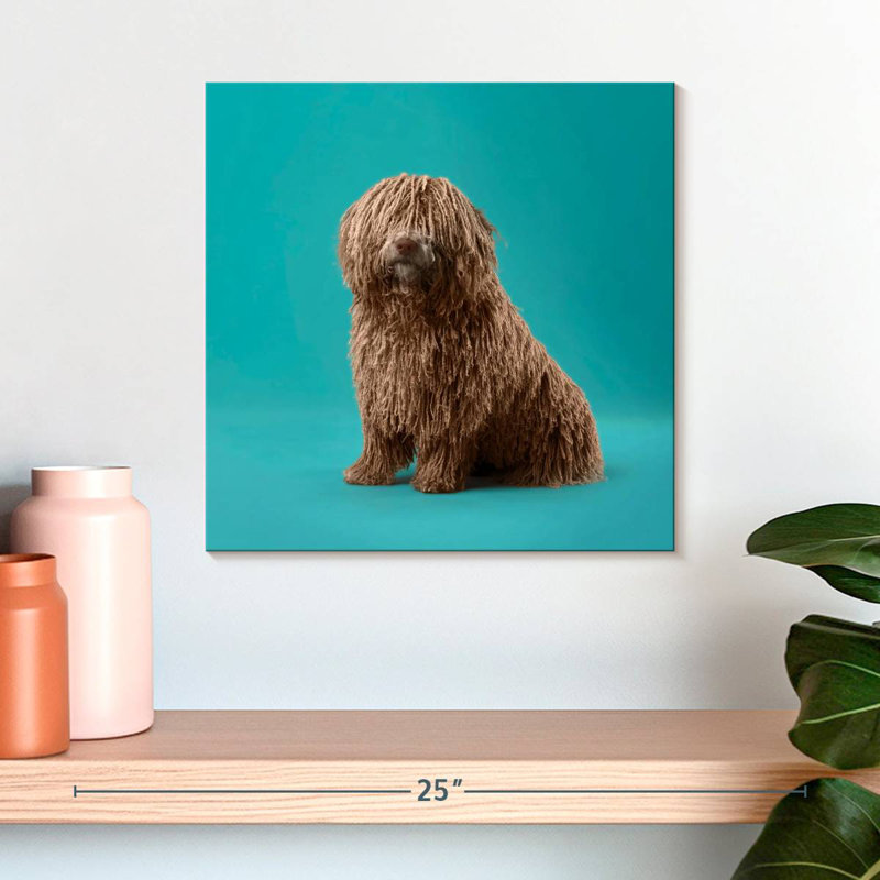 Crowle Komondor Dog, 16" H x 16" W