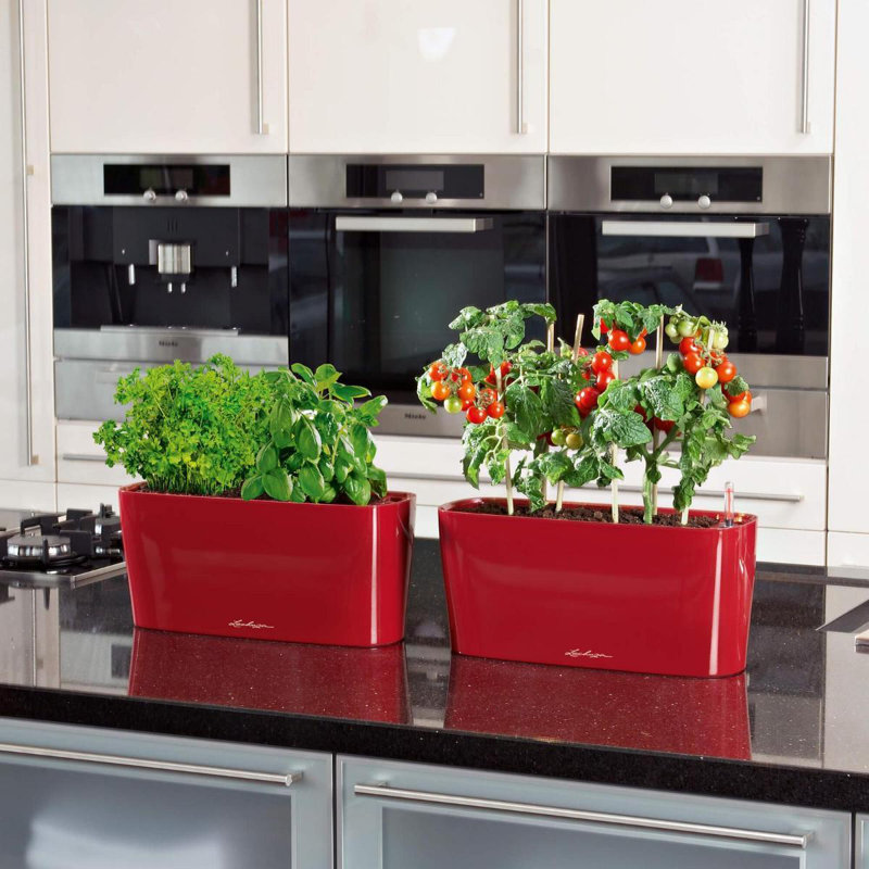 Window Box Planter, H13 x W30 x 11Dcm