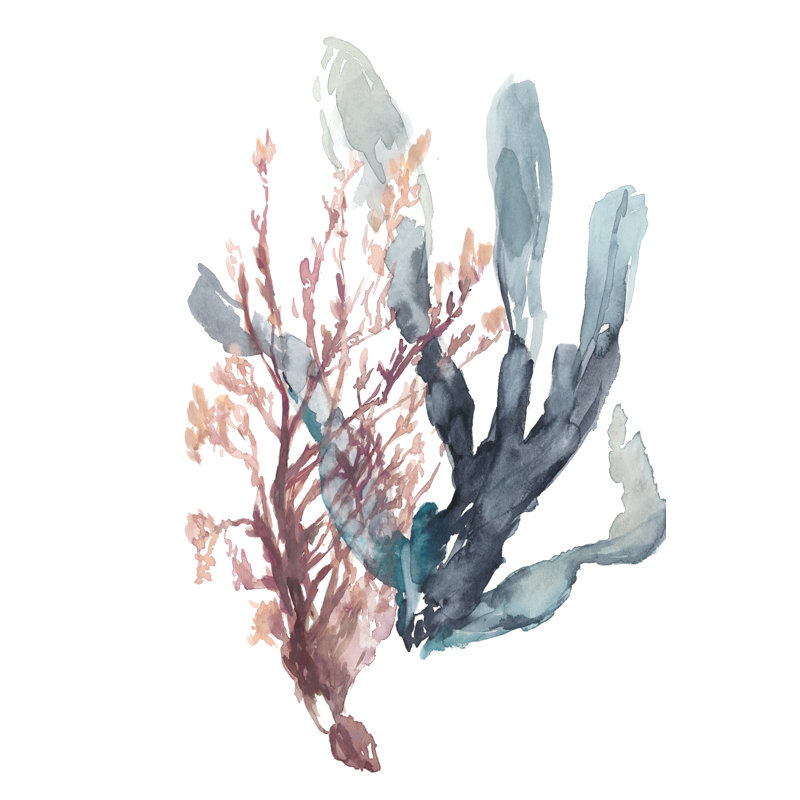 Sweet Seaweed I by Jennifer Goldberger - Painting Print, 46cm H x 30cm W, Wrapped Canvas