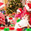 Merry Christmas, 9 pièces
