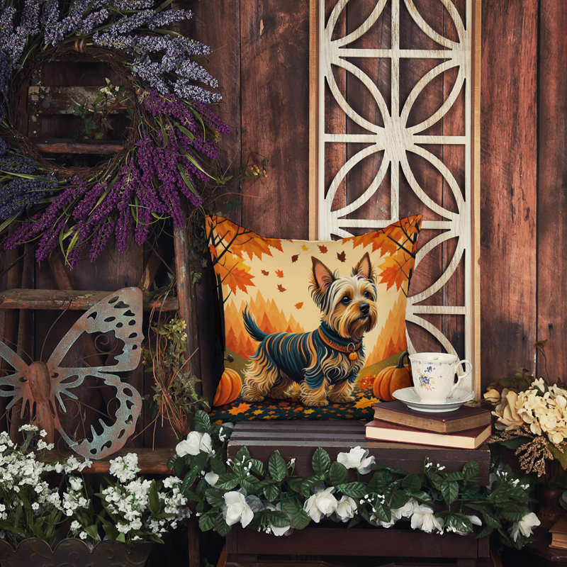 Other/No Pattern Outdoor Throw Pillow, 14" x 14"