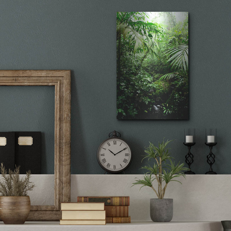 «Misty Rainforest Creek» par Nicklas Gustafsson, H 16 po x l 12 po