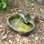 Hyman Frog Contemporary Green Ceramic Solar Water Fountain