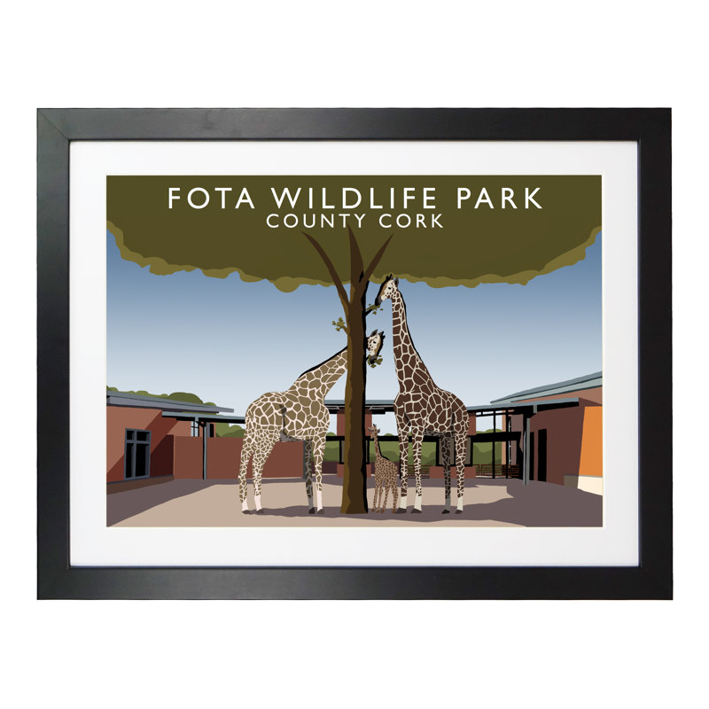 Fota Wildlife Park by Richard O'Neil - Print, 33.5 cm H x 43.5 cm W x 2.2 cm D, Black Wood Frame