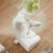 Alaiza the Whale Glass Top Beveled Base End Table-1362657277