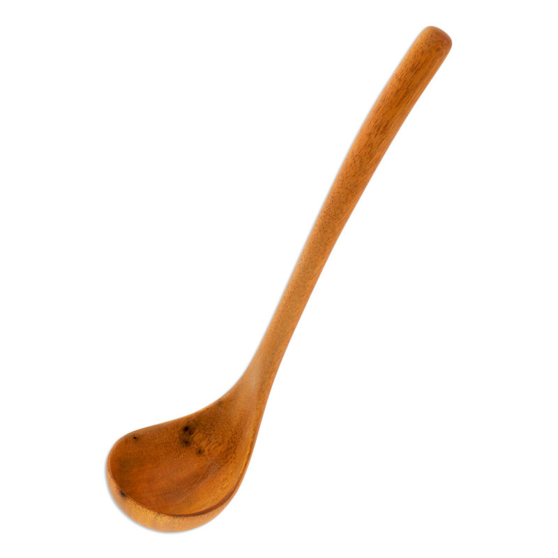 Louche de soupe-américain central maya Bowbridge