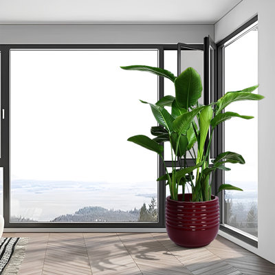 Ensemble de 3 pots de fleurs en céramique de couleur haricot rouge, idéal pour les fleurs, les herbes et la petite verdure, avec trou de drainage, L 14,19 po x l 12,14 po, jardinière moderne 42,35 lb et espaces intérieurs