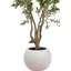 250cm Faux Tree in Cement Pot
