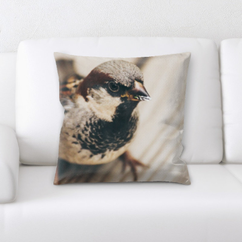 Coussin oiseau