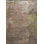 Rapture Abstract Area Rug