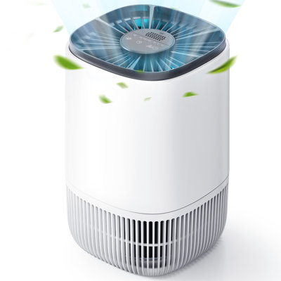 Air Purifier For Home