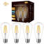 Ampoule à DEL 60W ST58 Edison 6W 2700K avec culot moyen E26