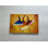 Printed Canvas Artwork: Elegant African Woman in Vibrant African Print,1P Wrapped Canvas