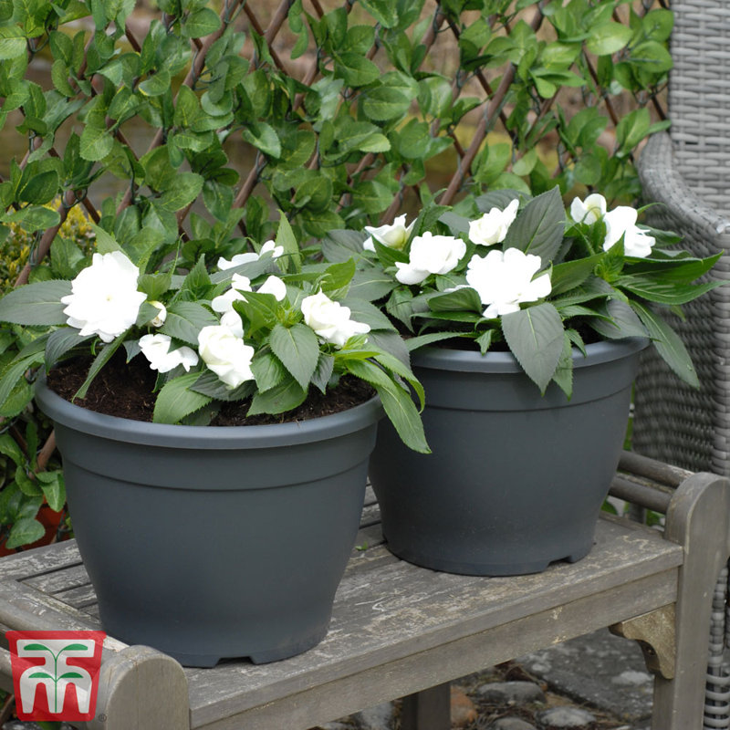Ingaret Plant Pot (x2), 2