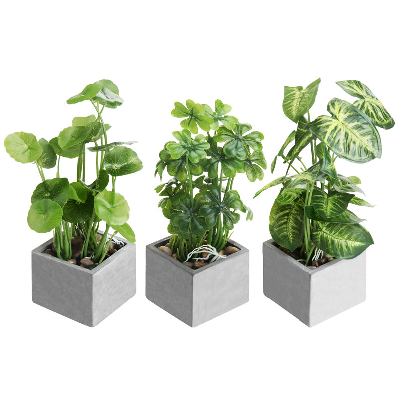 25cm Faux Foliage Plant in Cement Pot