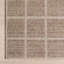 Daena Checkered Machine Washable Area Rug-1857784104
