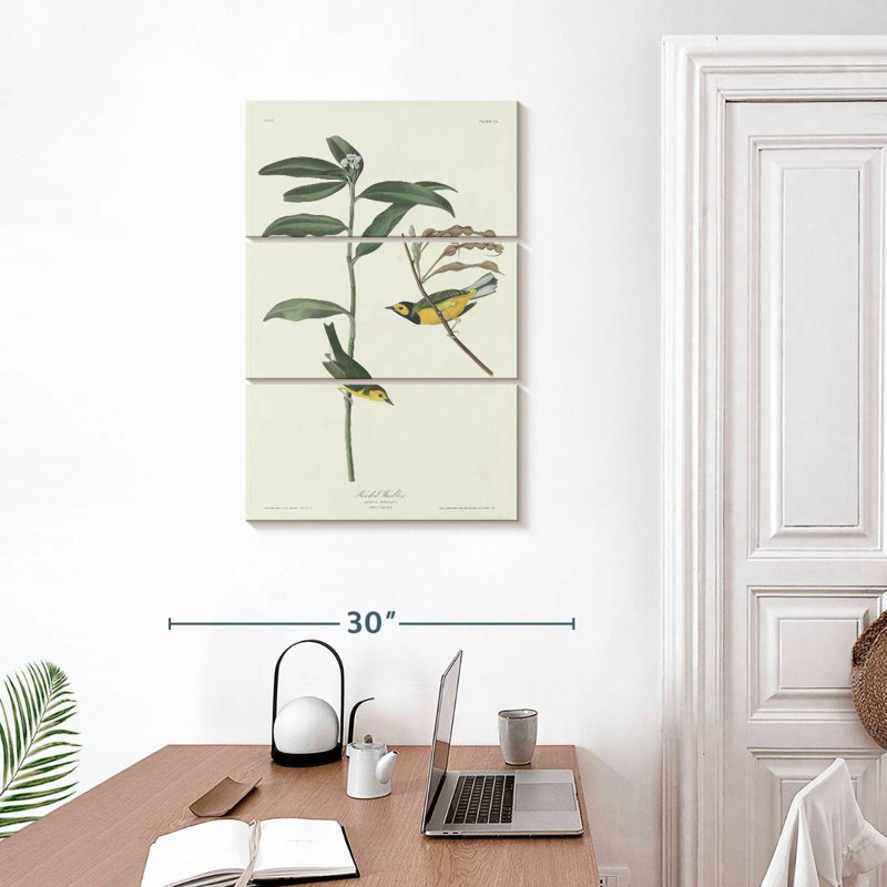 Keiri Hooded Warbler, 32" H x 20" W