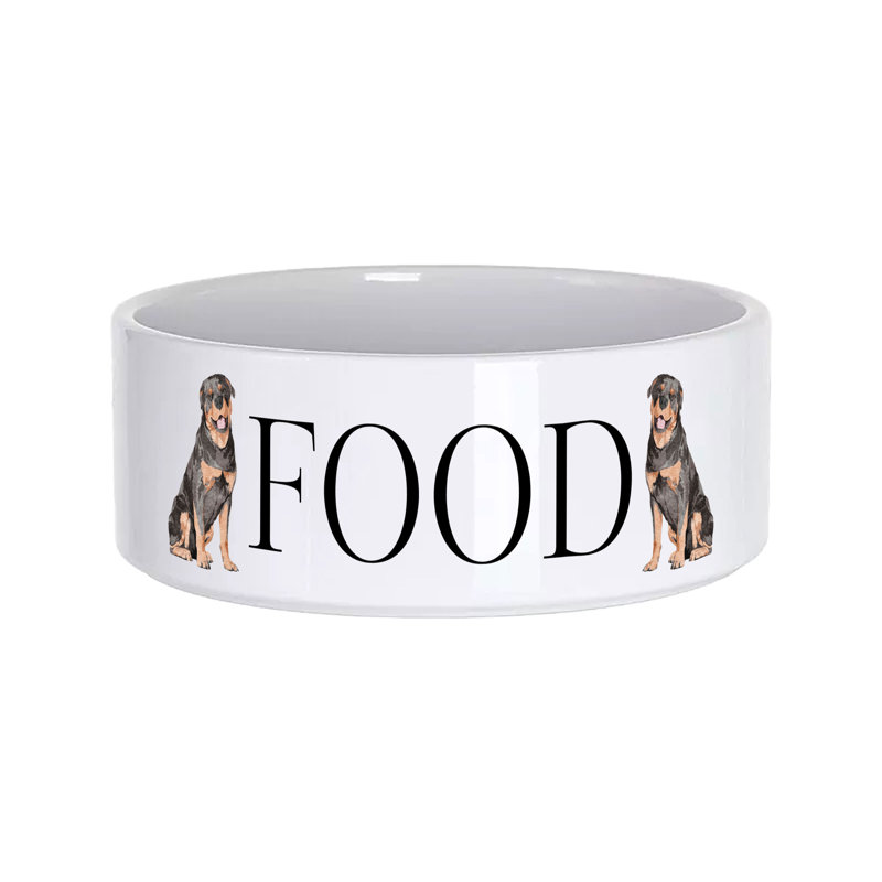 Vivid Squid Wholesale Ceramic / Porcelain Decorative Bowl 1