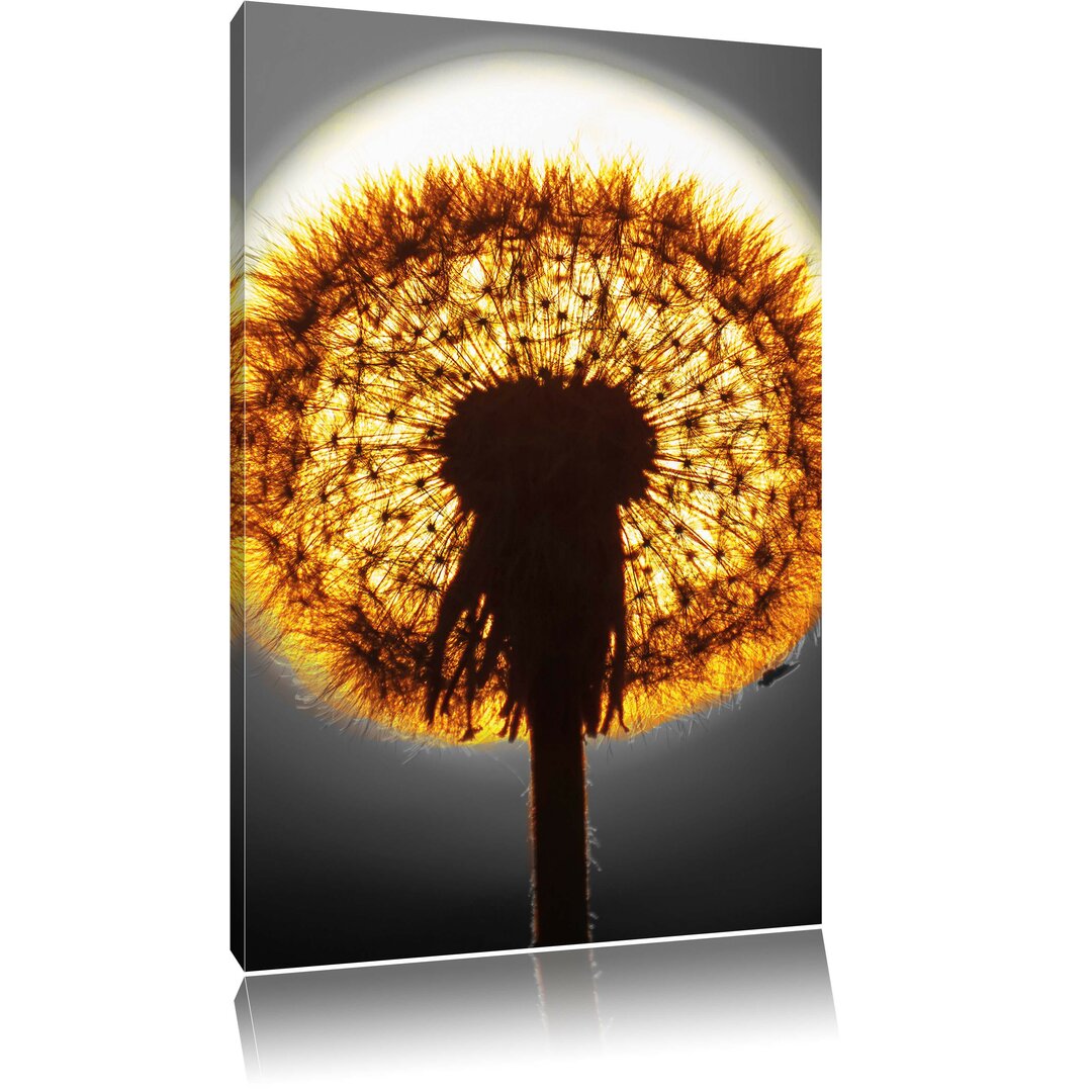 Leinwandbild Pusteblume vor untergehender Sonne