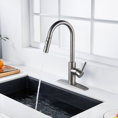 Pull Down Single Handle Kitchen Faucet With Deck Plate, Handles and Supply Lines