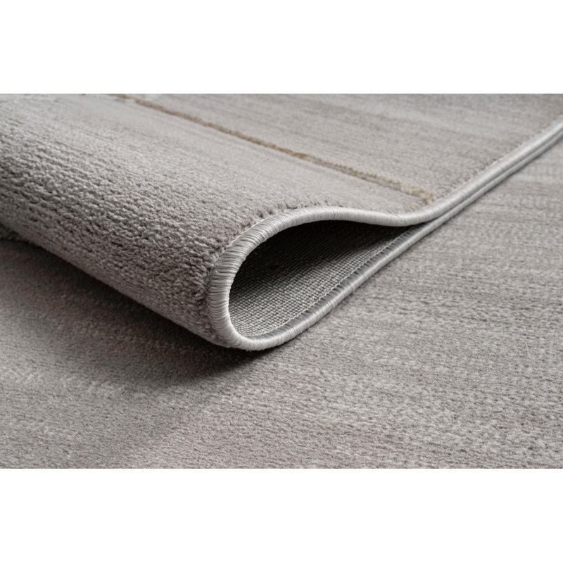  Tapis moderne 5 pi x 7 pi | Tapis abstrait pour la décoration intérieure | Gris doré, Rectangle 5 pi x 7 pi