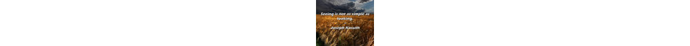 Joseph Kosuth Quote: Seeing is not as simple as looking.