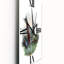 Horloge murale animaux de campagne IV-1760445615