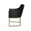 Poynor Tufted Armchair, Accent Chair with Iron Frame-1356980040