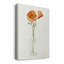 California Poppy Vase II - Toile tendue avec châssis de qualité supérieure - prête à être accrochée-67815570