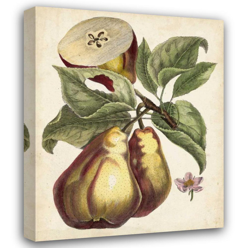 Art sur toile tendue avec châssis Inconnu Art Direct, H 34 po x l 28 po