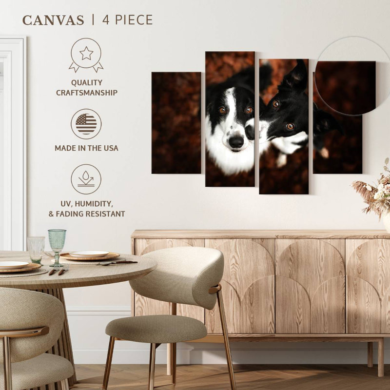 Brampt Adorable Border Collies, 22" H x 36" W