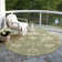 Machine Washable Indoor/Outdoor Cicel ACN1150 Aloe Rug