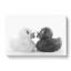Rubber Ducks Opposites Attract - Wrapped Canvas-61845285