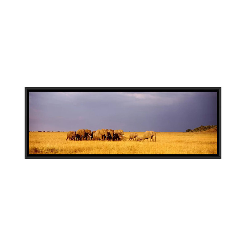«Elephant Herd, Maasai Mara Kenya», reproduction de photo sur toile, H 16 po x l 48 po x P 1,5 po, Cadre noir