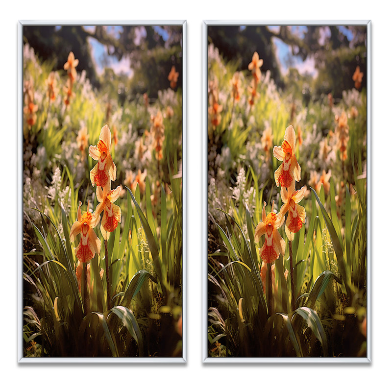 " Exotic Orchids Elegance " 2 - Pieces, White Framed, 40" H x 40" W