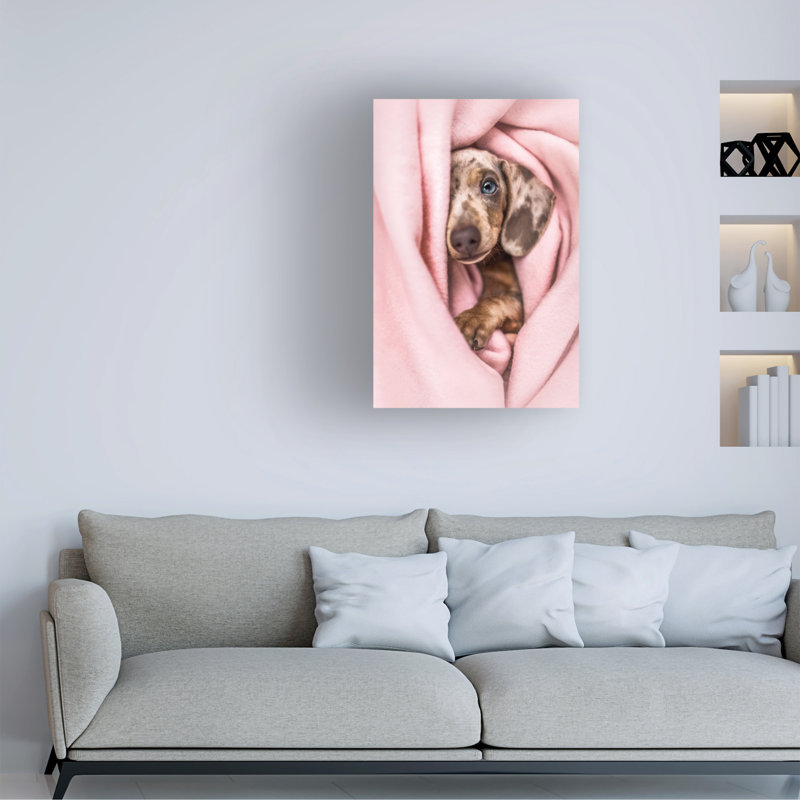 Art sur toile Natalie Grosse Peek-A-Boo, H 12 po x l 19 po