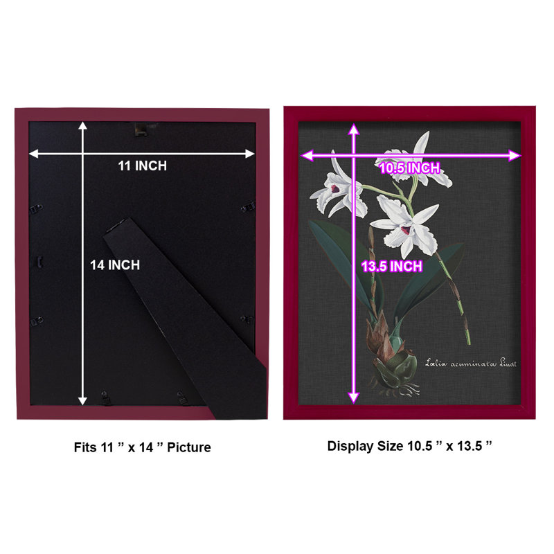 Orchidée sur ardoise V - reproduction de cadre photo simple, Rouge, H 15 po x l 12 po x P 1 po