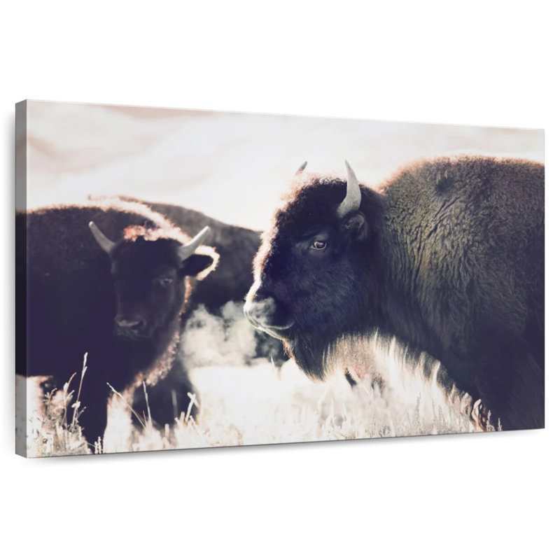 Brampt Buffalo Pasture, 34" H x 51" W