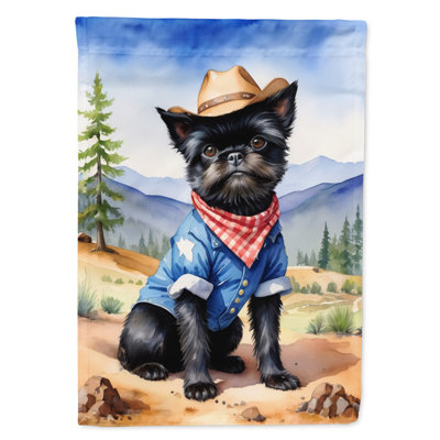 Drapeau Cowboy Welcome House
