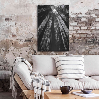 Millwood Pines «The Stand BW» par Debra Van Swearingen, art mural en métal, 16 po x 24 po